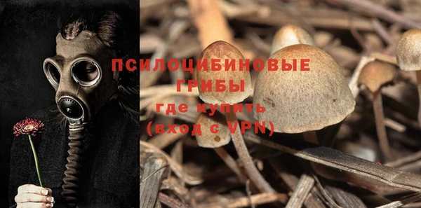 тгк Туринск