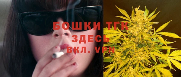 прущие грибы Бабаево