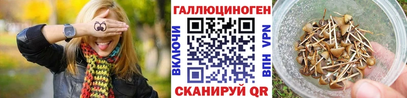 Галлюциногенные грибы мицелий Беломорск